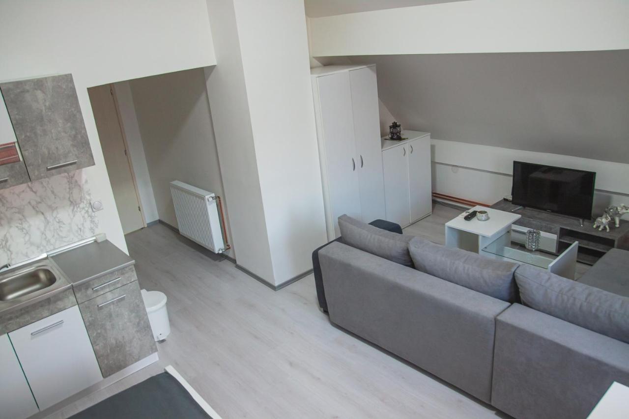 Family Apartmani Le Leskovac  Eksteriør billede